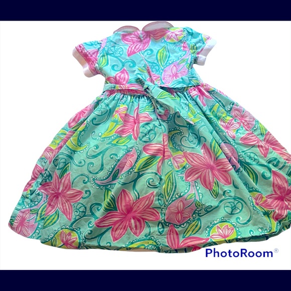 Lilly Pulitzer Fancy Dress in Lazy Paisley - Picture 2 of 3